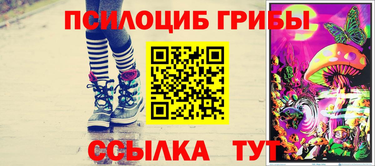 Псилоцибиновые грибы GOLDEN TEACHER Сердобск