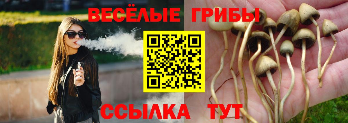 Сердобск  Галлюциногенные грибы прущие грибы  Вход с VPN 